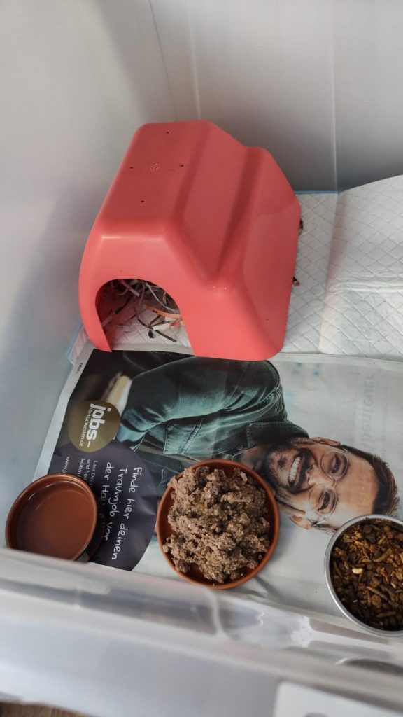 Vogelstation Villingen | Igelstation Durchhausen