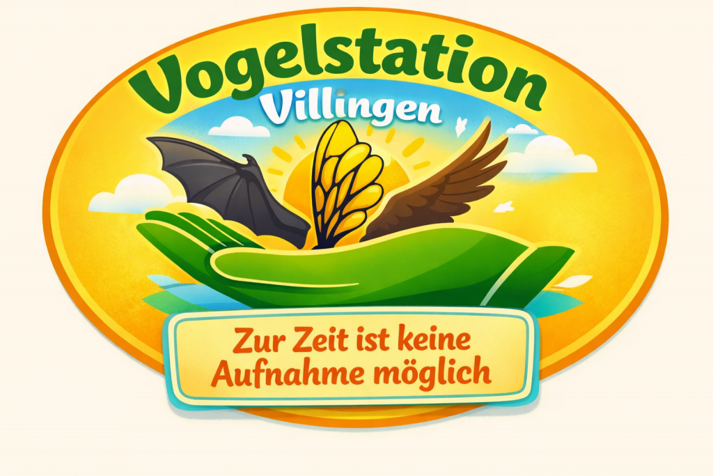 Vogelstation Villingen | Keine Aufnahme möglich
